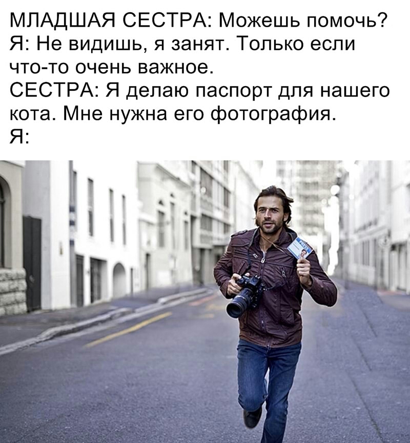 МЛАДШАЯ СЕСТРА Можешь помочь Я Не видишь я занят Только если что то очень важное СЕСТРА Я делаю паспорт для нашего кота Мне нужна его фотография Я