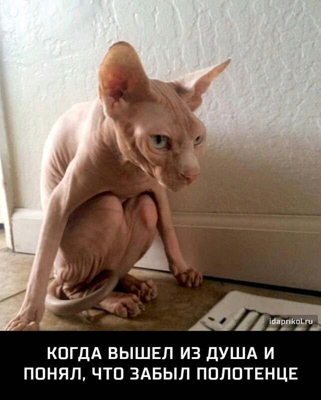 1 ЁЕЕШЁЪ КОГДА ВЫШЕЛ ИЗ ДУША И ПОНЯЛ ЧТО ЗАБЫЛ ПОЛПТЕНЦЕ