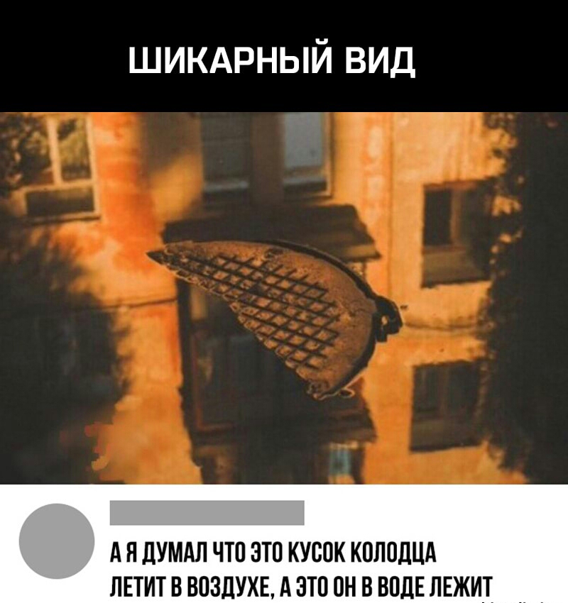 шикдрный вид А Я ДУМАЛ ЧТО ЭТО КУСВК КВЛВДЦА ЛЕТИТ В ВПЗЛУХЕ А ЭТО ПН В ВОДЕ ЛЕЖИТ