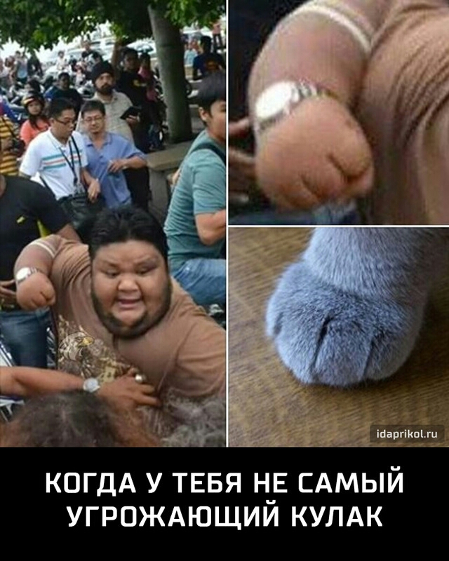 КОГДА У ТЕБЯ Н_Е САМЫЙ УГРОЖАЮЩИИ КУЛАК