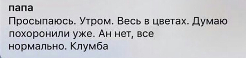 папа Просыпаюсь Утром Весь в цветах Думаю похоронили уже Ан нет все нормально Клумба