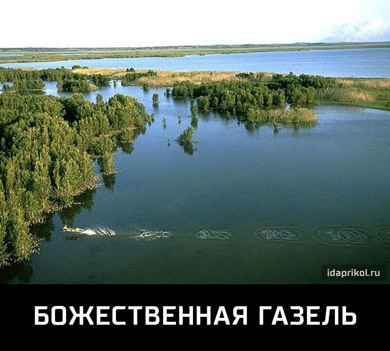 ідаргіКпЫи БОЖЕСТВЕННАЯ ГАЗЕЛЬ
