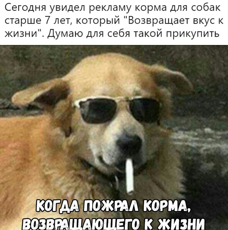 Сегодня увидел рекламу корма для собак старше 7 лет который Возвращает вкус к жизни Думаю для себя такой прикупить _Ёогм пожнм корм возвтшдюшвго к жизни