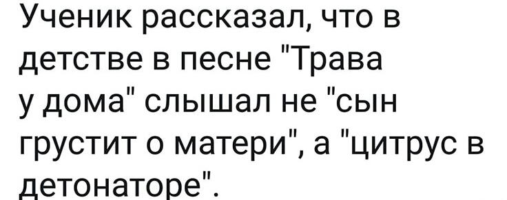 Ученик рассказал что в детстве в песне Трава у дома слышал не сын грустит о матери а цитрус в детонаторе