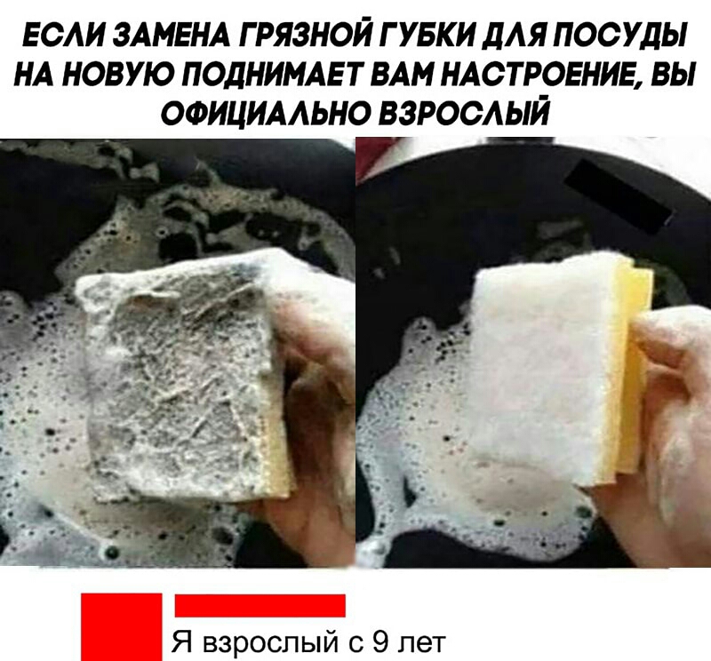 если злмгнл грязной гувки для пос уды нл нов ую поднимлгт влм нлстрогнив вы ооицилльно взрослый Я взрослый с 9 лет