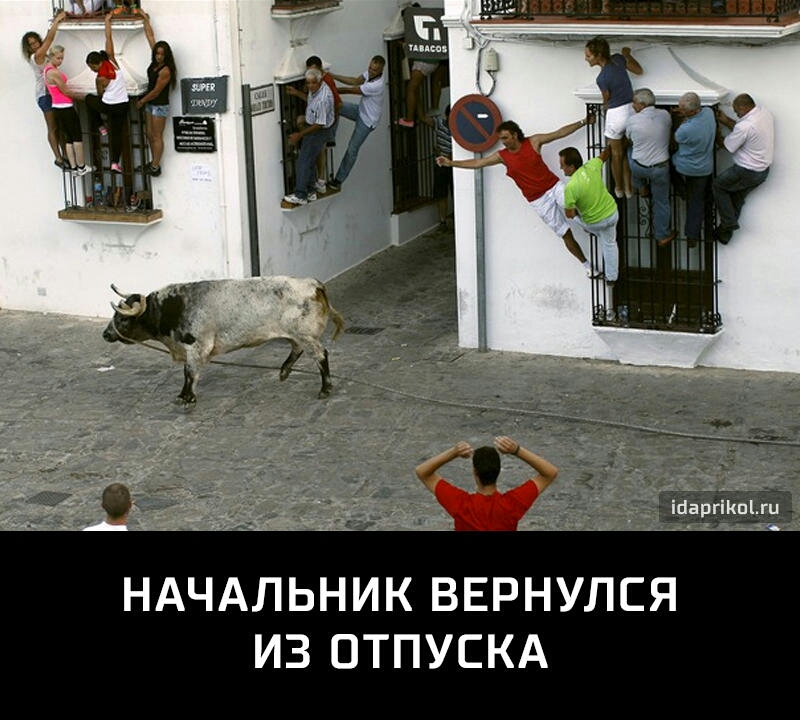 іпаргшпіш _ _ НАЧАЛЬНИК ВЕРНУЛСЯ ИЗ ОТПУСКА