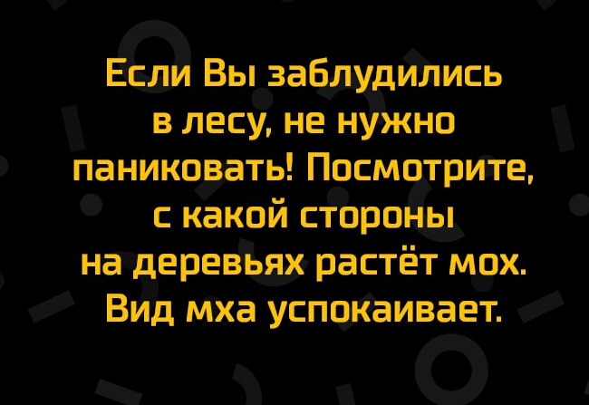 Если Вы заблмдились в лесу не нужно паниковать ПосмотрИте с какой сторойы на деревьях растёт мох Вид мха успоКаивает