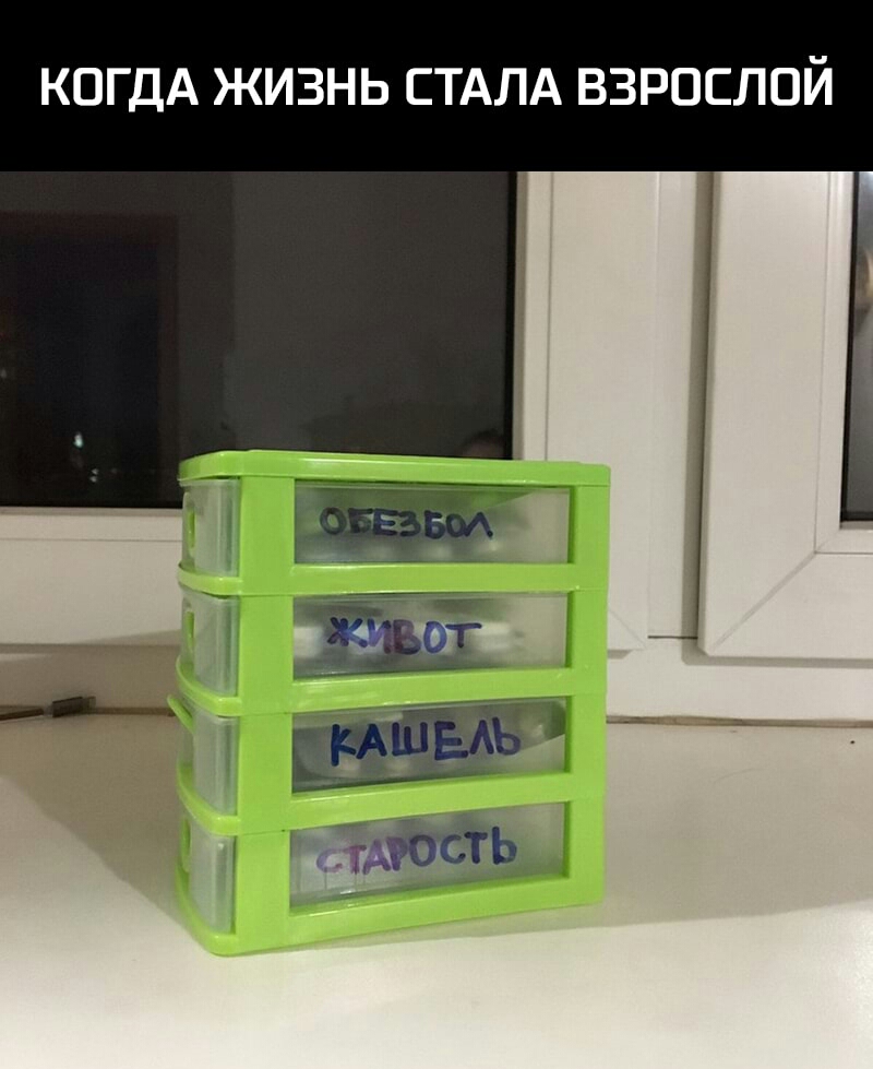 КОГДА ЖИЗНЬ СТАЛА ВЗРОСЛОЙ
