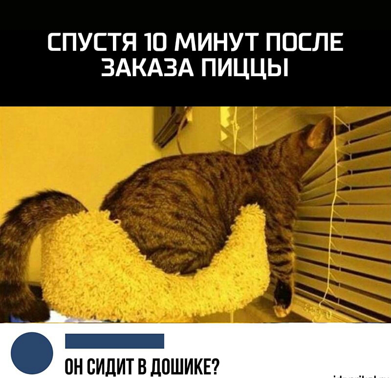 СПУСТЯ Ю МИНУТ ПОСЛЕ ЗАКАЗА ПИЦЦЫ _ ___ _ ПН СИДИТ В ДПШИКЕ _ _