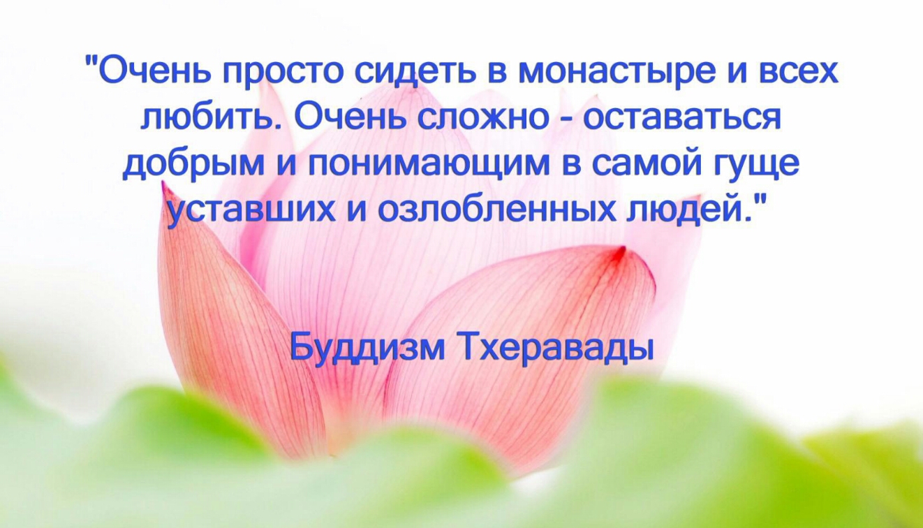 Очень просто сидеть в монастыре и всех любить Очень сложно оставаться добрым понимающим в самой гуще