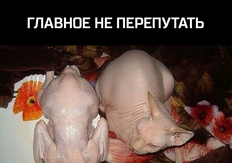 ГЛАВНОЕ НЕ ПЕРЕПУТАТЬ