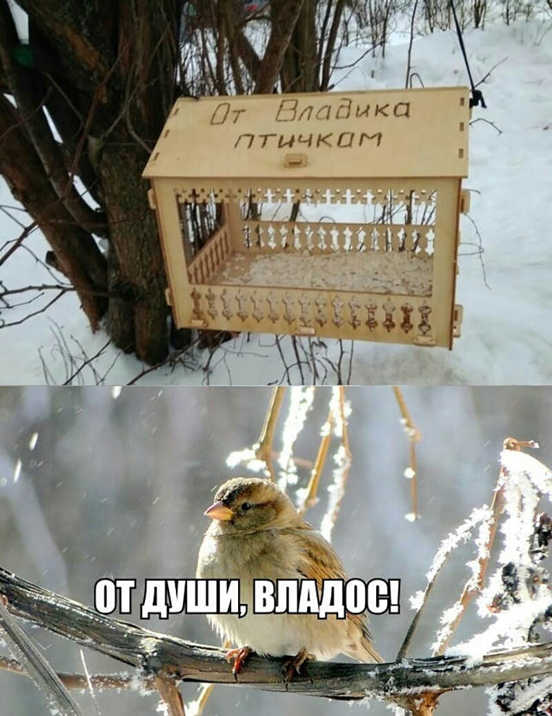 1 Л і М И ііц д чёёдё
