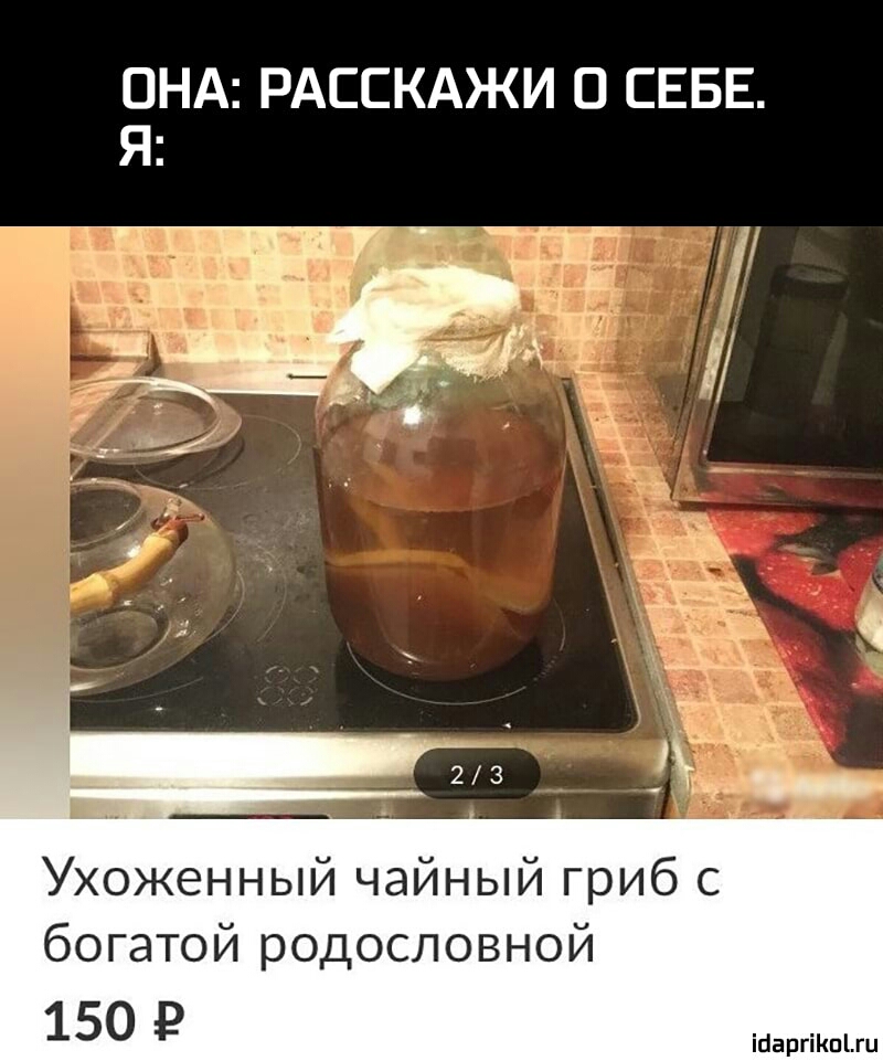 ОНА РАССКАЖИ О СЕБЕ Ухоженный чайный гриб с богатой родословной 150 Р ісіаргіішіш