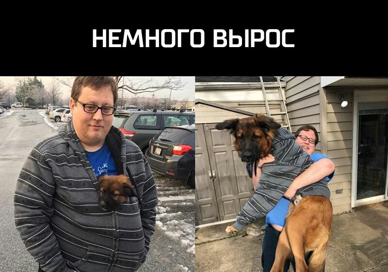 НЕМНОГО ВЫРОС