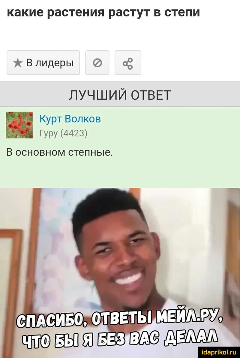 какие растения растут В степи АВлидеры 8 лучший ОТВЕТ Курт Волков Гуру 4423 В ОСНОВНОМ степные