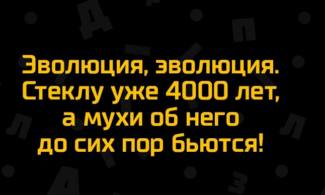 Эволюция эволюция Стеклу уже 4000 лет а мухи об него до сих пор Бьются