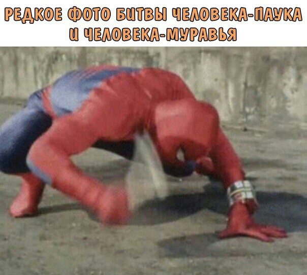58113131138 ШЁЁЁ Ш ЩЁШЁЕШ