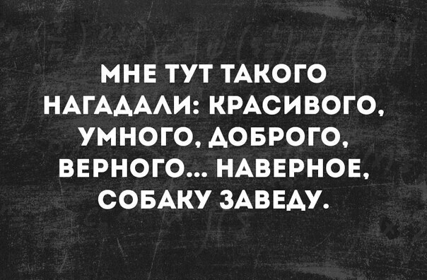 МНЕ ТУТ ТАКОГО НАГААААИ КРАСИВОГО УМНОГО АОБРОГО ВЕРНОГО НАВЕРНОЕ СОБАКУ ЗАВЕАУ