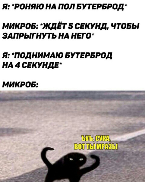 Я РОНЯЮ НА ПОЛ БУТЕРБРОД МИКРОБ КДЁТ 5 СЕКУНД ЧТОБЫ ЗАПРЫГНУТЬ НА НЕГО Я ПОДНИМАЮ БУГЕРБРОД НА 4 СЕКУНДЕ МИКРОБ