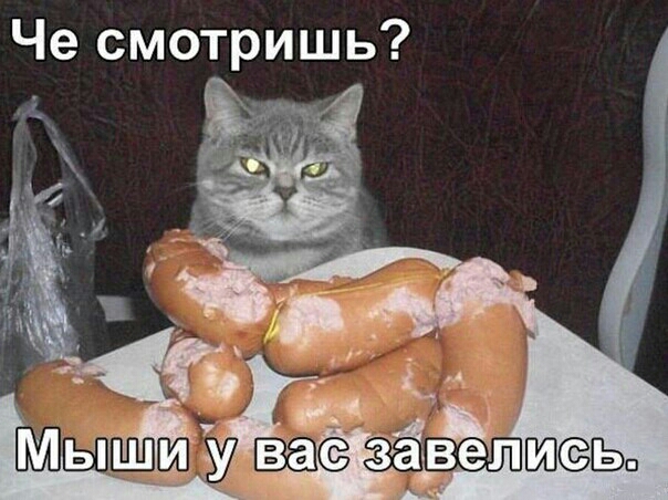 Че смотришь ці 1