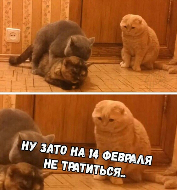 НУ ито нд М ФЕВМА я НЕ ттТИТЬся