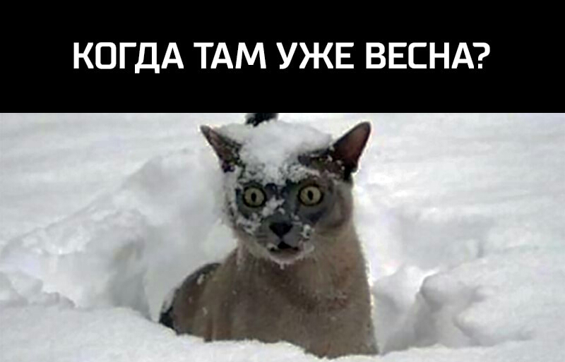 КОГДА ТАМ УЖЕ ВЕСНА