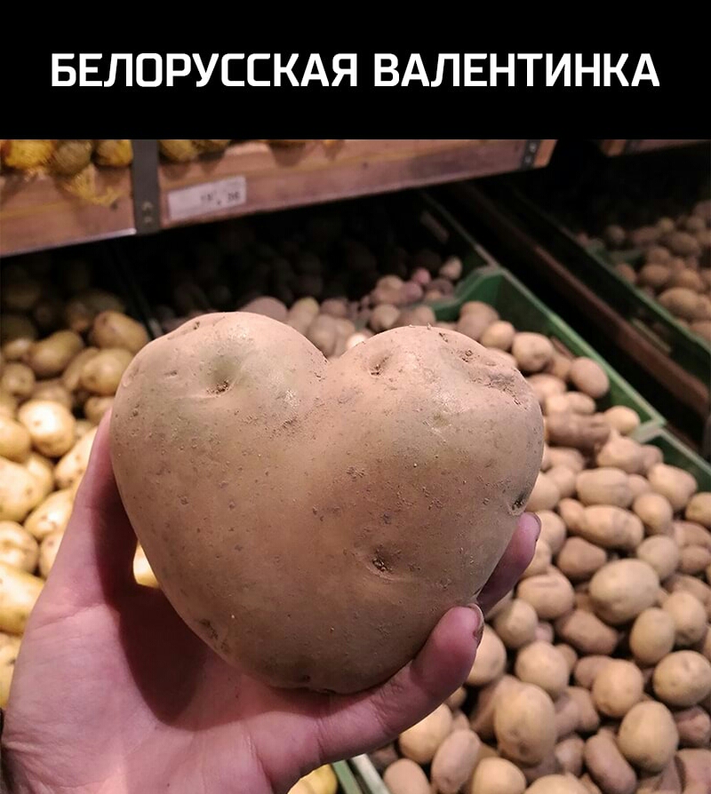 БЕЛОРУССКАЯ ВАЛЕНТИНКА
