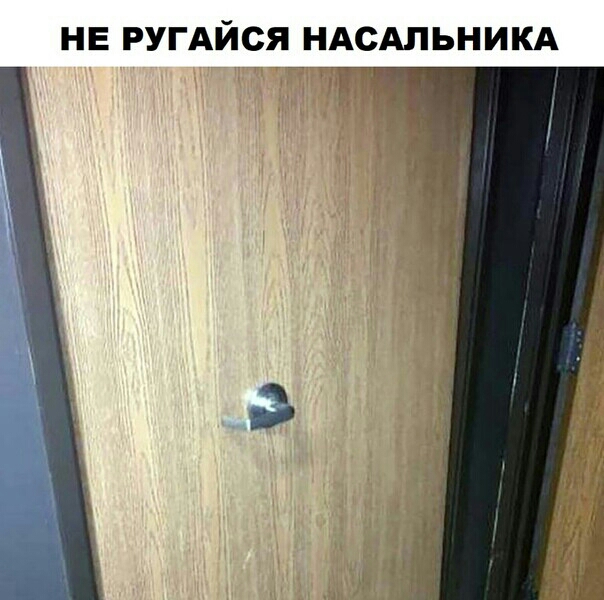 НЕ РУГАЙСЯ НАСАЛЬНИКА У