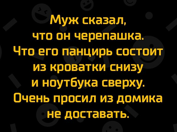 Муж сказал что он череПашка Что его панцирь спсгюит из крііЁёгки снизу и ноутбука сверху Очень просил из домика не доставать