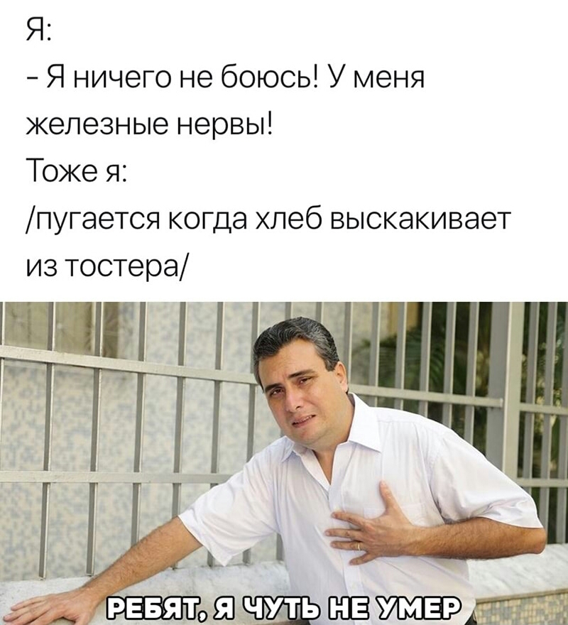 Я Я ничего не боюсь У меня железные нервы Тоже я пугается когда хлеб выскакивает из тостера _ у