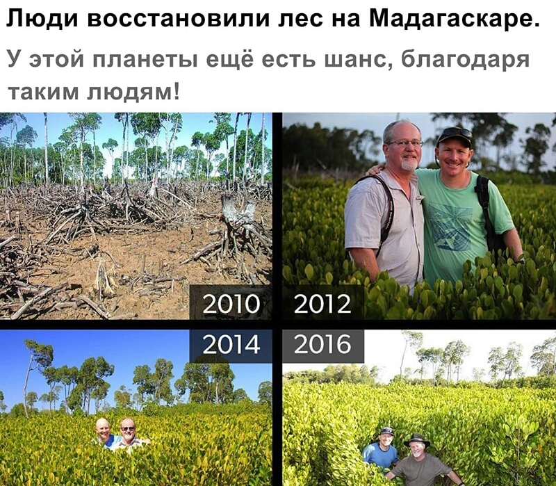 Люди восстановили лес на Мадагаскаре У этой планеты ещё есть шанс благодаря таким людям 2010 2012 2014 2016