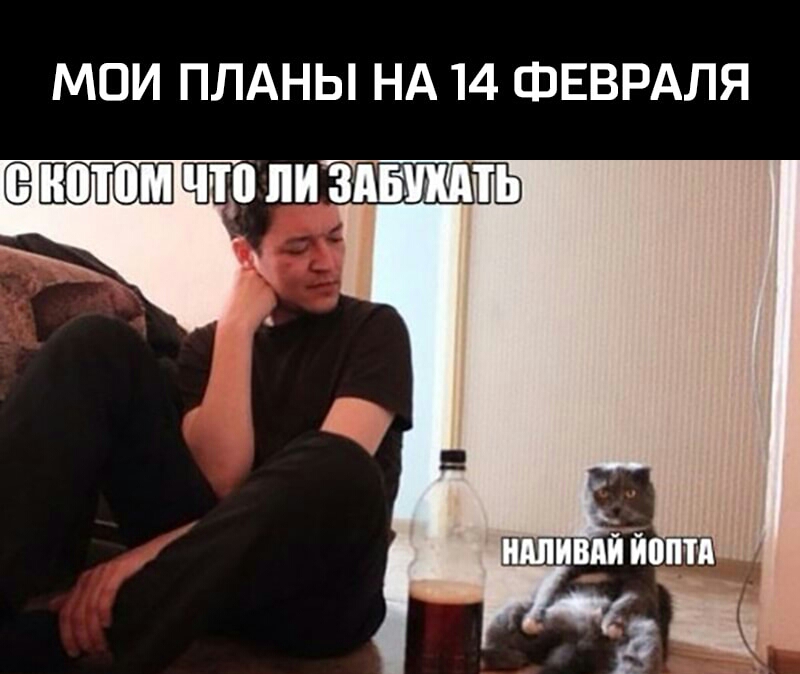 МОИ ПЛАНЫ НА 14 ФЕВРАЛЯ