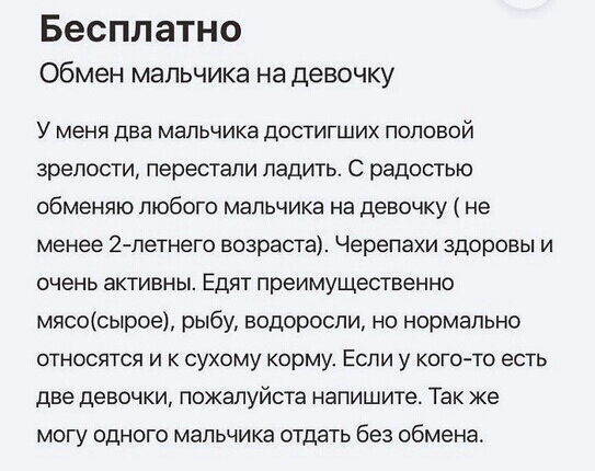 Бесплатно Обмен мальчика на девочку У меня два мальчика достигших половой зрелости перестали ладить С радостью обменяю любого мальчика на девочку не менее 2 петнего возраста Черепахи здоровы и очень активны Едят преимущественно мясосырое рыбу водоросли но нормально относятся и к сухому корму Если у кого то есть две девочки пожалуйста напишите Так же могу одного мальчика отдать без обмена