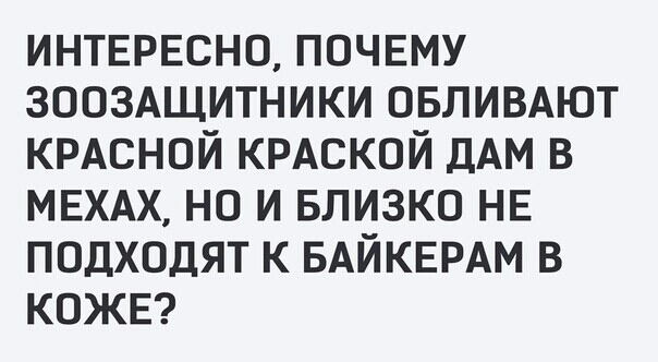 ИНТЕРЕСНО ПОЧЕМУ 3003Ащитники ОБЛИВАЮТ КРАСНОЙ КРАСКОЙ дАМ в МЕХАХ но и БЛИЗКО НЕ подходят к БАЙКЕРАМ в КОЖЕ