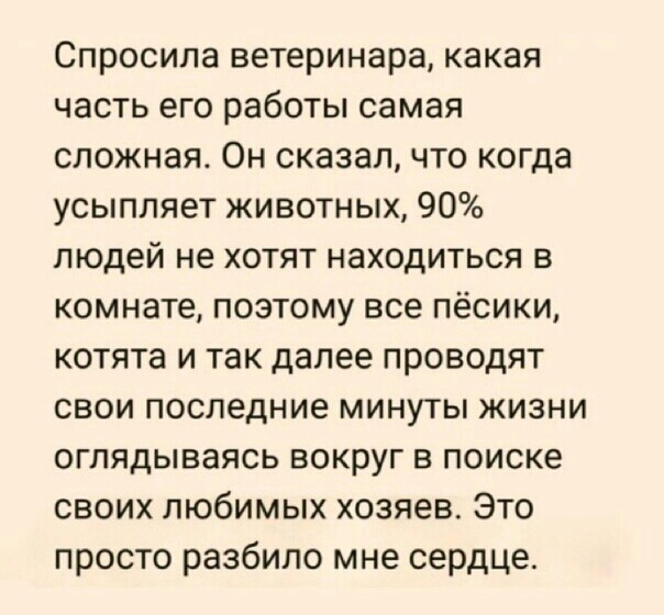 Спросила ветеринара какая часть его работы самая сложная Он сказал что когда усыпляет животных 90 людей не хотят находиться в комнате поэтому все пёсики котята и так далее проводят свои последние минуты жизни оглядываясь вокруг в поиске своих любимых хозяев Это просто разбило мне сердце