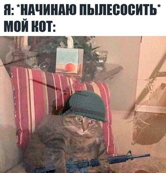 ндчиндю ПЫЛЕВВВИТЬ МВИ ЮТ ЁЁ 1 а у