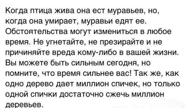 Когда птица жива она ест муравьев но когда она умирает муравьи едят ее Обстоятельства могут измениться в любое время Не угнетайте не презирайте и не причинлйте вреда кому либо в вашей жизни Вы можете быть сильным сегодня но помните что время сильнее вас Так же как одно дерево дает миллион спичек но только одной спички достаточно сжечь миллион деревьев