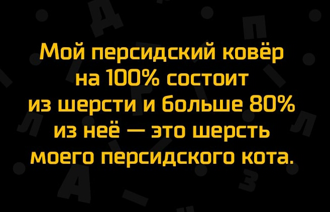 Мой персидский ковёр на 100 состоит из шерсти и Больше 80 из неё это шерсть моего персидского кота