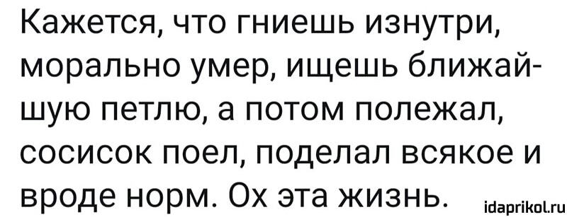 Кажется что гниешь изнутри морально умер ищешь ближай шую петлю а потом полежал сосисок поел поделал всякое и вроде норм Ох эта жизнь
