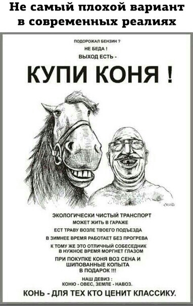 Не самый плохой вариант в современных реалиях пеш выход всп КУПИ КОНЯ экологически чипыи иш ть ПРА Е ес ти ныне ппвт живе иви ивент вп пюпи и и мн очи мии сшдшик шаг тия им ин мм пт пише крил и сам и шипомниыг конь пом оч и мег пвп конь для ТЕХ кто ЦЕнит КЛАссикх
