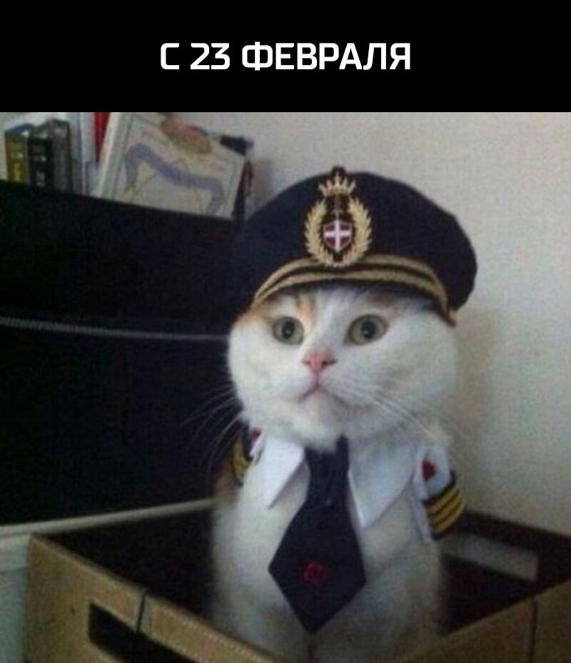 С 23 ФЕВРАЛЯ