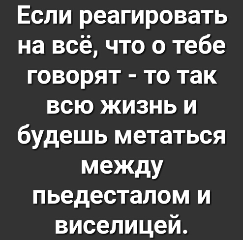 Если реагировать на всё что о тебе говорят то так всю жизнь и будешь метаться между пьедесталом и виселицей