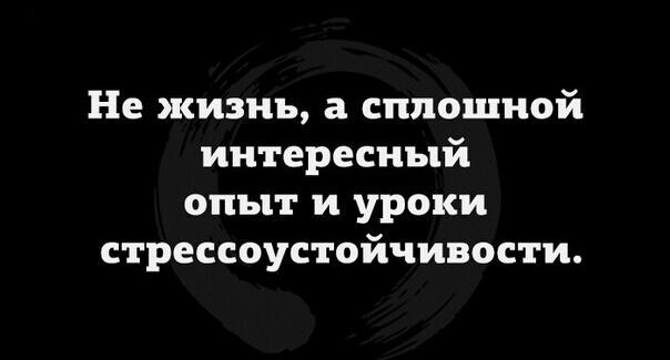 Не жизнь а сплошной интересный опыт и уроки стрессоустойчивости