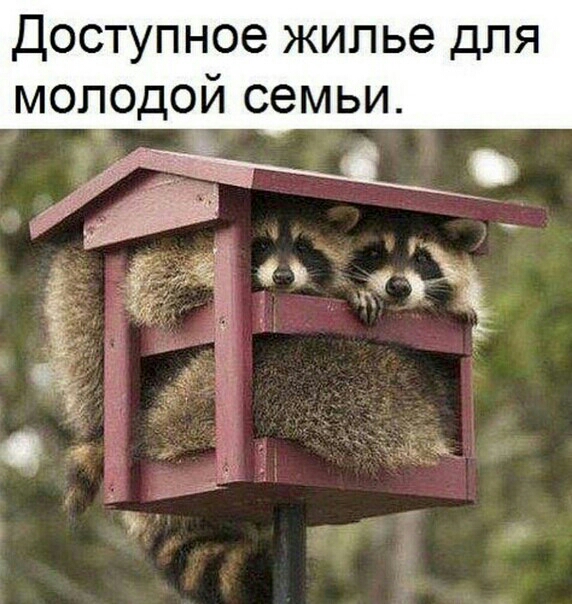 Доступное жилье для молодой семьи