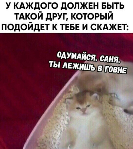У КАЖД_0Г0 дОЛЖЕН БЫТЬ ТАК_ОИ дРУГ КОТОРЫИ ПОдОИдЕТ К ТЕБЕ И СКАЖЕТ одуилйся сли я _ Ежтщ Гат