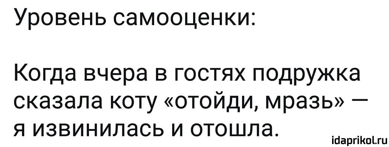 Уровень самооценки Когда вчера в гостях подружка сказала коту отойди мразь я извинилась и отошла ійаргіКпЫц