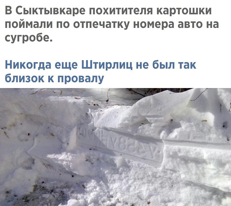 В Сыктывкаре похитителя картошки поймали по отпечатку номера авто на сугробе Никогда еще Штирлиц не был так близок к провалу