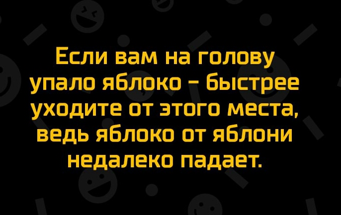 Если вам на голову упало яблоко Быстрее уходите от этого места ведь яблоко от яблони недалеко падает