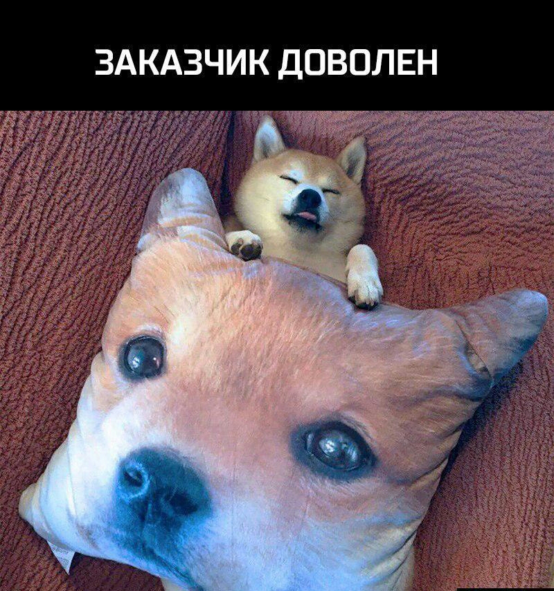 ЗАКАЗЧИК ДОВОЛЕН