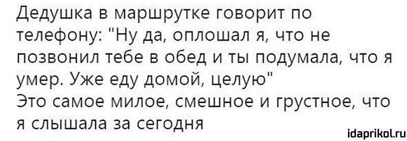 Дедушка в маршрутке говорит по телефону Ну да оплошал я что не позвонил тебе в обед и ты подумала что я умер Уже еду домой целую Это самое милое смешное и грустное что Я слышала Зд СЗГОДНЯ іЦаргіКпги